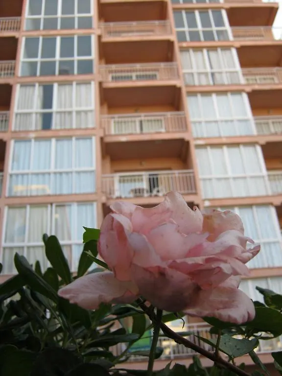 Apartamentos El Velero Torremolinos Hiszpania